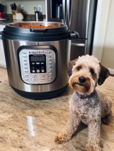 10-steps-to-make-perfect-instant-pot-homemade-dog-food.jpg